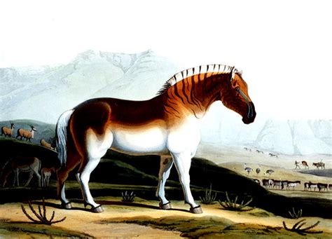  The Quagga Hunt –  A Vivid Exploration of Light and Shadow