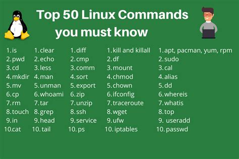 What is Linux Programming: A Symphony of Code and Chaos